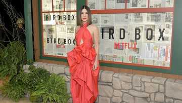 Tout sur Sandra Bullock: filmographie, photos, âge, taille