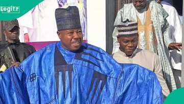 2027: 'Why northerners will never vote for Peter Obi,' Ali Modu Sheriff explains