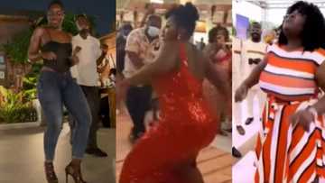 5 times peeps stole the shine at events with their hot dance moves; 1 lady whines her waist in video