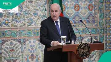 Algeria lists African countries whose citizens are exempted from visa requirements