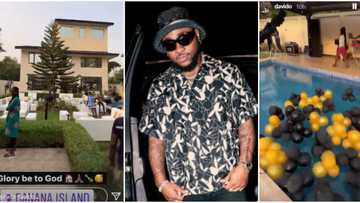 Beautiful scenes on gardens and poolside as Davido throws big housewarming party for his Banana Island mansion