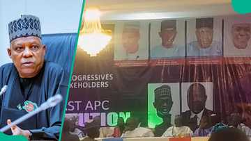 Rashin sa hoton Kashim Shettima ya rikita taron APC, Kakakin Majalisa ya harzuka