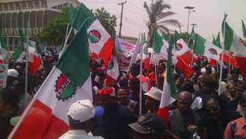 NLC to Imo PDP: Don't drag labour unions into local politics