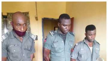 Payback time as police in Ogun sacks high-ranking officers for extortion, releases names, photos