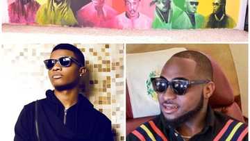 Music Wall of Greats: Wizkid, Davido missing as Nigerian artist unveils wall painting of great musicians