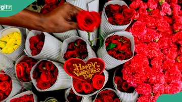 Valentine’s Day: List of countries that don’t celebrate February 14