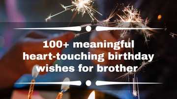 100+ meaningful heart-touching birthday wishes for brother