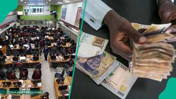 Stock market records first gain in 5 days as investors loss over N500bn in one week