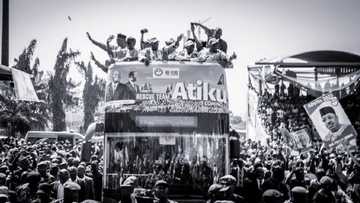 An Shiga Rudani, ‘Yan APC Sun Fadawa Ganduje Wadanda Su Ka Goyi Bayan Atiku