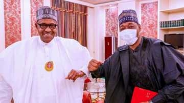 Hotuna: Buhari da Farfesa Zulum sun gana a fadar shugaban kasa