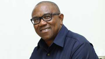 Abubuwan Da Ya Kamata Ku Sani a Tarihin Rayuwar Dan Takarar Shugaban Kasa Na LP, Peter Obi