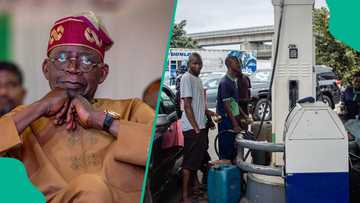 FG finally takes action to crash petrol price, announces important partnership