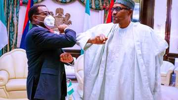 Buhari finally opens up, reveals why he supported Adesina for AfDB job