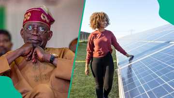 Nigeria's solar panel importation declines as FG insists on ban
