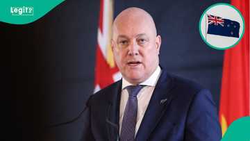 New Zealand announces visa fee waiver for 3 categories of foreigners