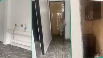 "The rent is N3 million yearly": Agent shares mini flat located in Lekki Phase 1, the room looks neat