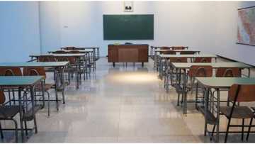 Dalibai sun gudu yayinda yan bindiga suka sake kai farmaki jihar Zamfara, sun hallaka 13