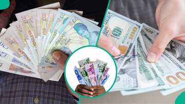 Finally, relief for naira: Nigeria’s reserves hit 5-year high amid global uncertainty