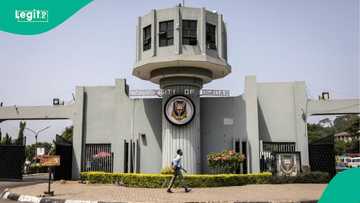 Full list: University of Ibadan promotes 36 lecturers, librarians to professors, readers