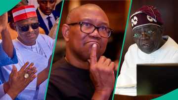 Obi says he creates wealth more than Kwankwaso, Tinubu