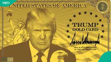 US president Donald Trump launches $1 million gold visa card programme