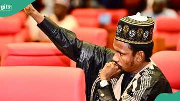 Elisha Abbo: Sacked APC senator in fresh trouble over bribery allegations against appellate court
