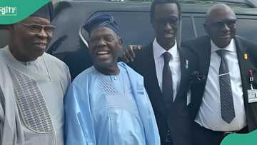 Breaking: University of Ibadan appoints new vice chancellor
