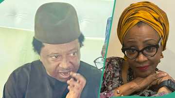 "Mummy leave me alone", Shehu Sani sends message to El Rufai's wife