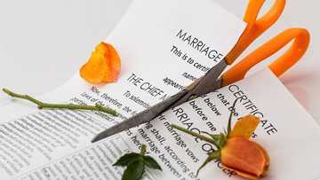 Wedding called off after groom's father elopes with bride's mother