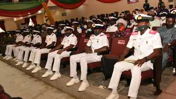 Jubilation as Nigerian Navy promotes 203 senior officers to various ranks (see their names)