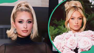She invented the influencer and built an empire — Paris Hilton's net worth and how she got there