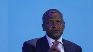 Dangote now richer than over 30 African countries as price of Dangote Cement rises