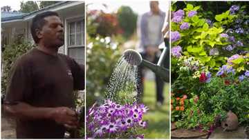Confusion as police arrests pastor for watering his neighbour's flowers