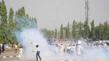 Yan sanda sun kashe mutane 12 a lokacin tattakin Ashura, Inji kungiyar IMN