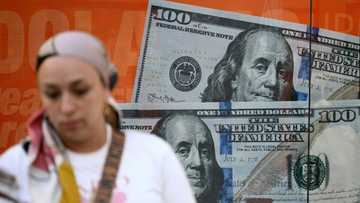 US dollar dominance not under threat, despite risks: Fed official