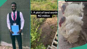 Lead City University first class graduate gets plot of land worth N2m, live turkey, N100,000