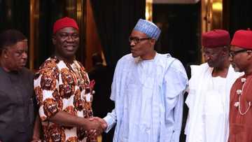 Ekweremadu: Ndigbo Germany speaks after attacks, sends message to Ohaneze, NASS