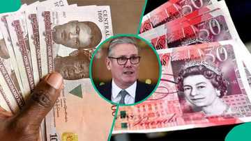 British pound slumps against naira, dollar as UK Prime Minister's resignation sparks investor panic