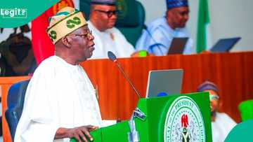 Full list of 102 prominent Nigerians Tinubu gives awards to on Democracy Day
