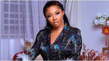 N2m for a cute baby, N1m for egg: Man offers to help Toke Makinwa become a mother, she reacts