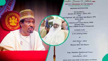 Martanin ƴan Arewa kan daurin auren ƴaƴan Sanata Barau a fadar Aminu Ado Bayero