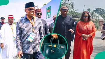 Peter Obi breaks silence on wife's N250m Hermes bag, speaks about her wealth and public funds