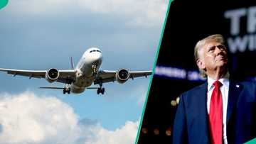 N10.8m: Airlines release new ticket prices as travelling to US gets more expensive