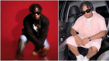 “Go and wash Don Jazzy’s toilet so that he can buy u Xmas cloth”: Fans react to post of troll dragging Crayon