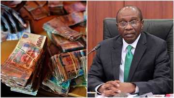 Just in: Nigeria's CBN to mint currency for another African country