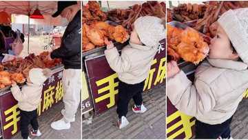 Daga Rakiya, Karamin Yaro Ya Dage Yana Gwagwiyar Kaza Daga Teburin Mai Nama, Bidiyon Ya Yadu