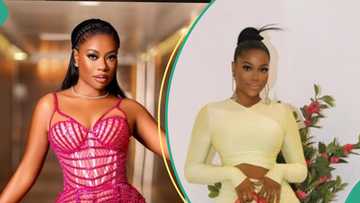 Sophia Momodu celebrates birthday with risque eye-catching photos, fans drool: “She was a fairy, Yh"