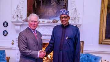 Buhari shares warm moments with Prince of Wales (photos)