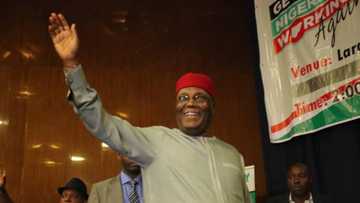 Atiku wins 9 out of 10 LGAs declared results in Oyo