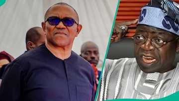 2027 election: Peter Obi speaks on next action the North will take if he finally defeats Tinubu